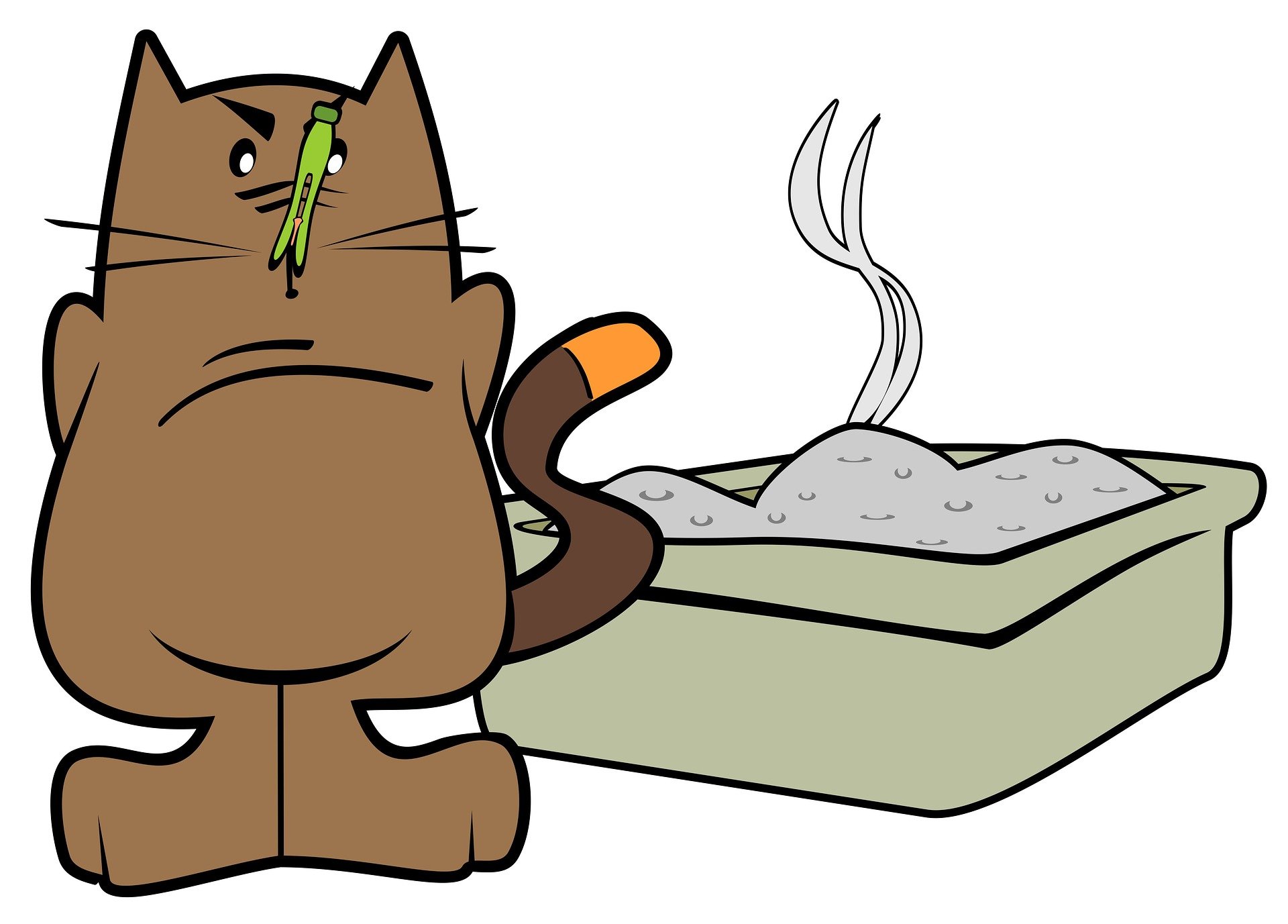Tips for Cleaning and Sanitizing Your Cat’s Litter Box Alexander