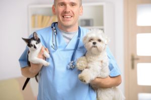 alexander animal hospital puppy's first vet visit