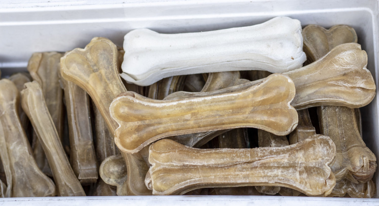 Are Table Scraps Okay to Feed Your Pet? Alexander Animal Hospital