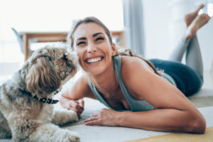 alexander animal hospital pet health alexander animal hospital pet health