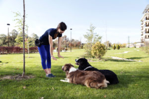 alexander animal hospital Pet-Friendly Outdoor Space 
