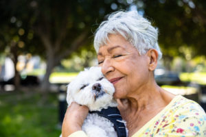 alexander animal hospital Pet Wellness 