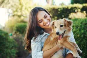 alexander animal hospital pet wellness alexander animal hospital pet wellness